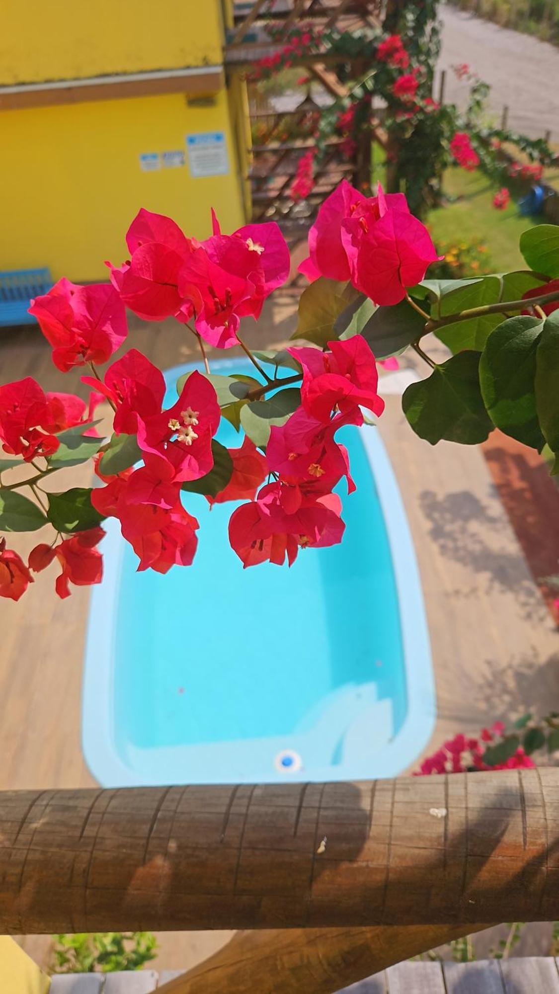 Ilha Do Contrato Portal Flat Aparthotel Igrapiuna Εξωτερικό φωτογραφία