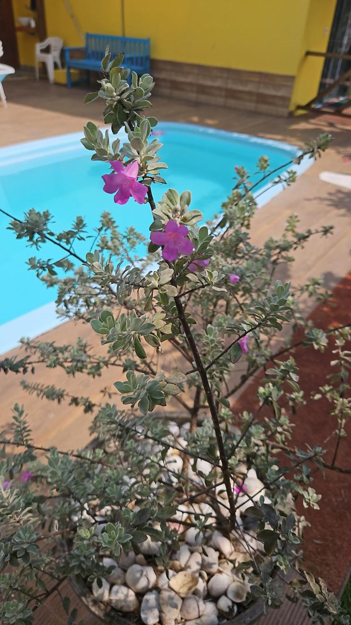 Ilha Do Contrato Portal Flat Aparthotel Igrapiuna Εξωτερικό φωτογραφία